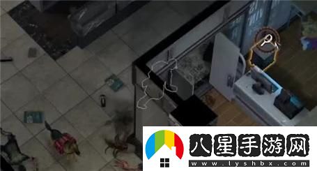 魔窟手游攻略：全面解析護符功能與使用技巧