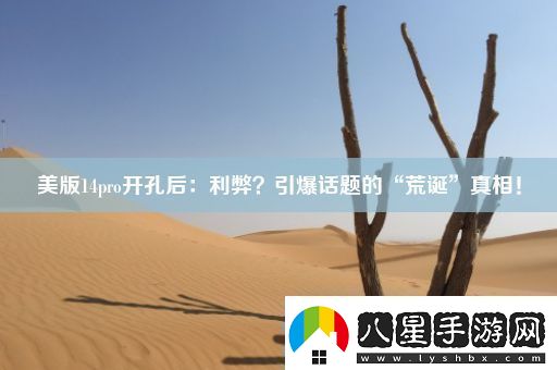 美版14pro開(kāi)孔后