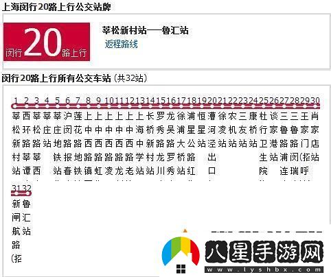 售票員如何使用小Xue查票20路公交的實(shí)用指南