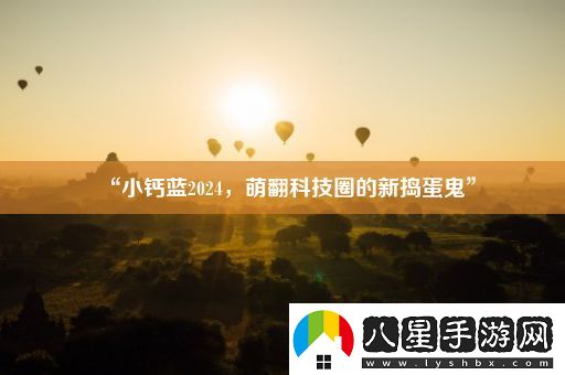 “小鈣藍2024