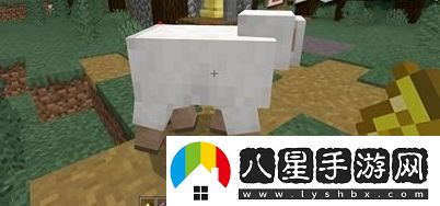 我的世界彩色羊怎么獲取