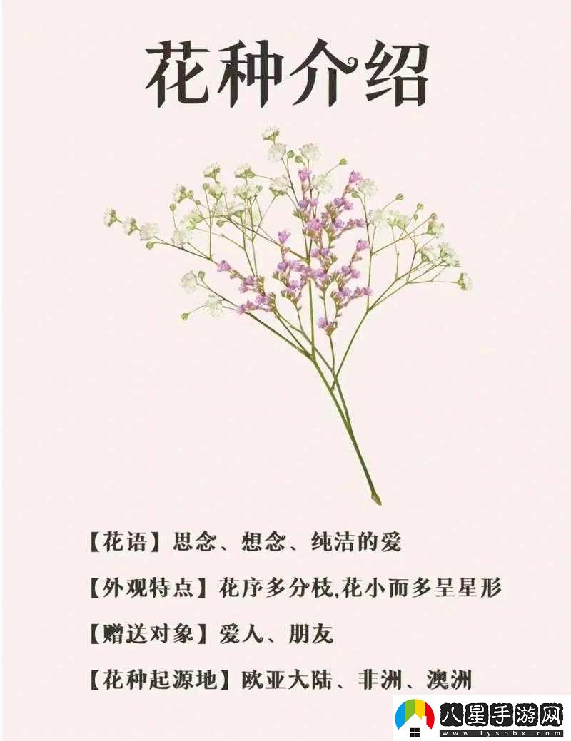 俄羅斯學(xué)院滿(mǎn)天星