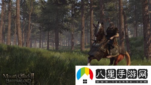 騎馬與砍殺2手游app經(jīng)典刺激的中世紀戰爭騎馬與砍殺2手機版下載