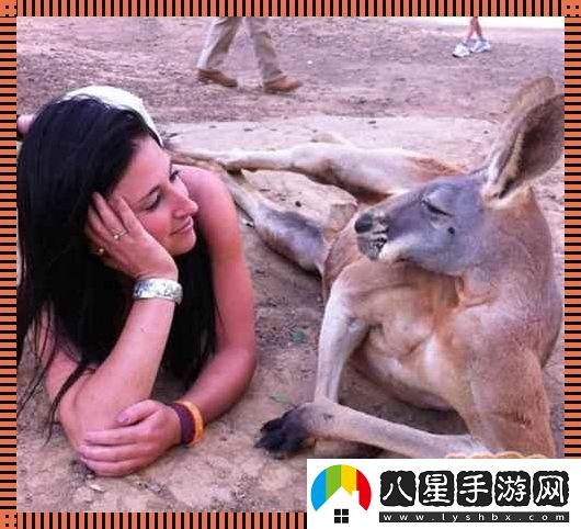 “奇趣互動(dòng)！高清時(shí)代的人物與動(dòng)物‘吵架’日常