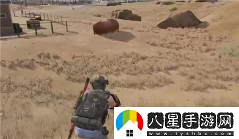 風(fēng)云島伏擊圈完整攻略與技巧分享，助你輕松勝出