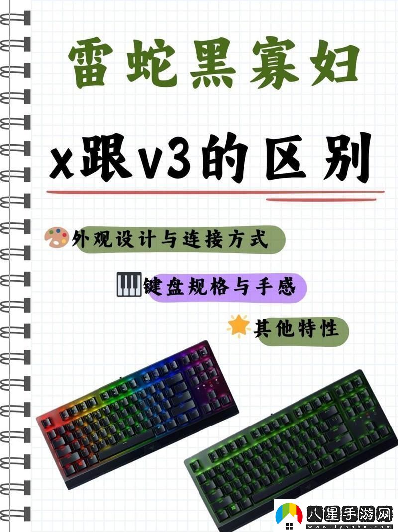 鍵盤(pán)江湖黑寡婦X與V3的恩怨情仇