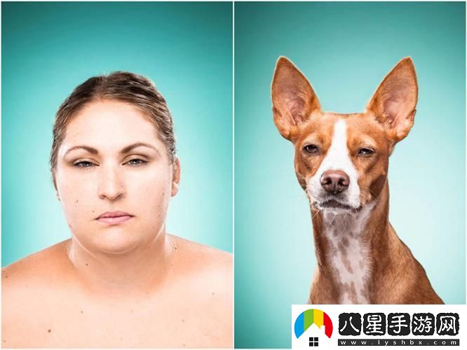 新探索人物動(dòng)物交互狗aa帶來(lái)的美好體驗