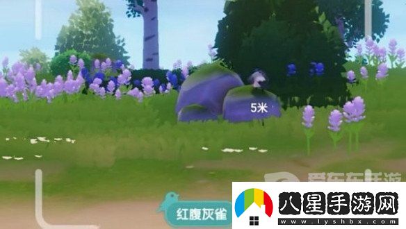 心動(dòng)小鎮怎么拍照
