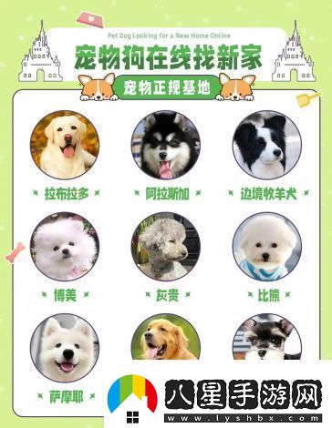萌寵養成物語(yǔ)qq群