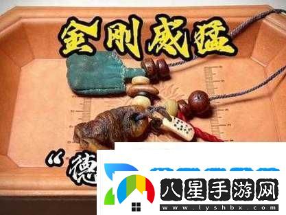 金剛杵大戰肉蓮花是什么意思