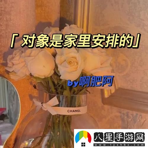 家里安排的C1V1對象