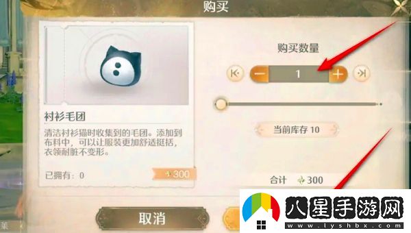 怎樣獲得無(wú)限暖暖襯衫毛團，全面解析獲取途徑和技巧