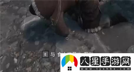 黑暗命運手游全方位攻略解讀與玩法解析