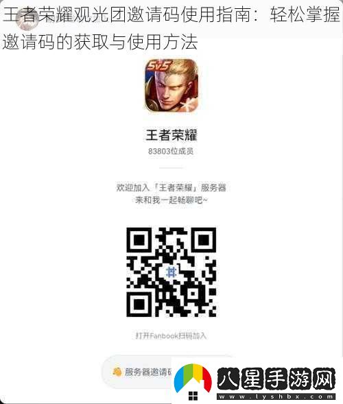 王者榮耀觀(guān)光團邀請碼使用指南