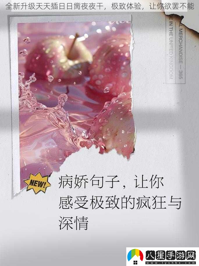 全新升級天天插日日胔夜夜干