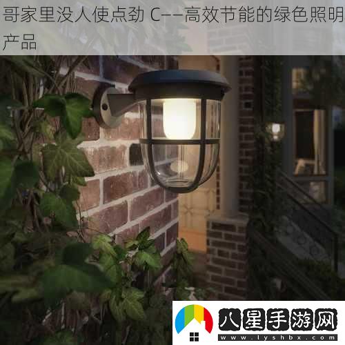 哥家里沒(méi)人使點(diǎn)勁