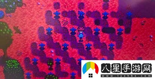 星露谷物語(yǔ)中鯰魚(yú)的釣魚(yú)技巧與攻略詳解