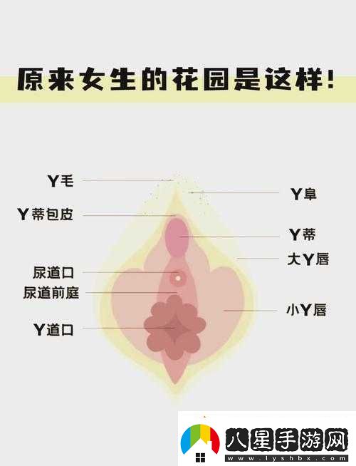 探尋女性?shī)W秘
