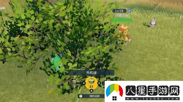寶可夢(mèng)朱紫dlc巨蛋限定對戰任務(wù)怎么做