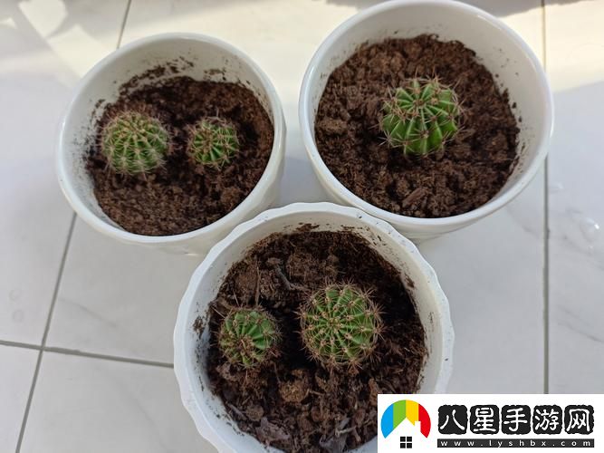 小東西好幾天沒(méi)弄了還能吃嗎