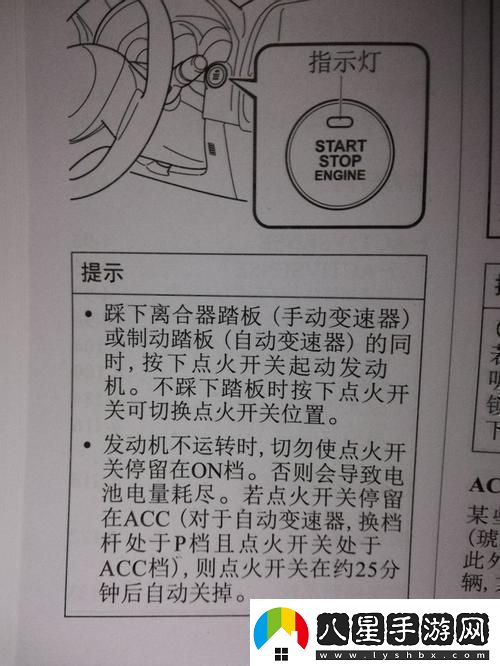 開(kāi)機啟動(dòng)項我竟敗給了崛起的新星