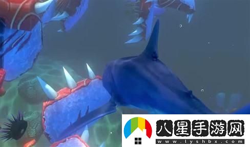 如何駕駛永久雷諾？詳細技巧與駕駛注意事項分享