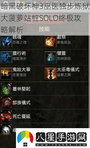 暗黑破壞神3巫醫獨步煉獄大菠蘿站樁SOLO終極攻略解析