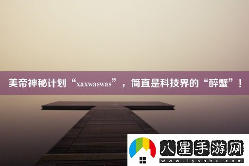 美帝神秘計劃“xaxwaswas”