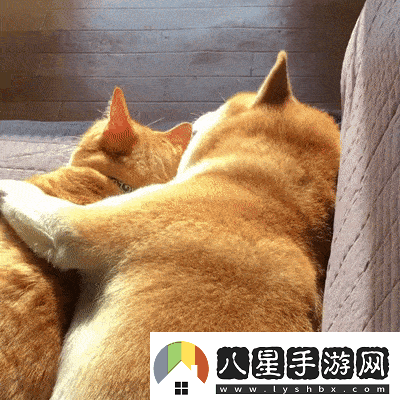嗯嗯啊啊動(dòng)態(tài)圖