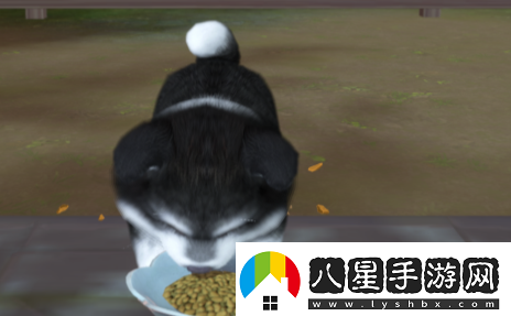 浮生憶玲瓏府邸怎么解鎖府邸解鎖方法介紹
