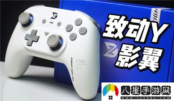 流放之路2使用手柄的最佳推薦有哪些？玩家們最?lèi)?ài)的手柄選擇是什么？