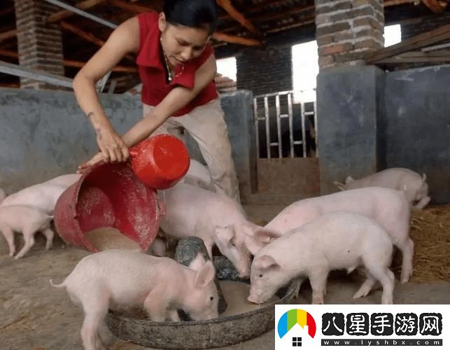 養豬場(chǎng)二代