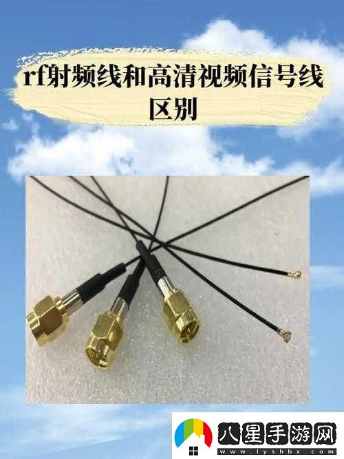RF射頻線(xiàn)與高清連接優(yōu)質(zhì)信號呈現極致清晰畫(huà)面資訊速遞