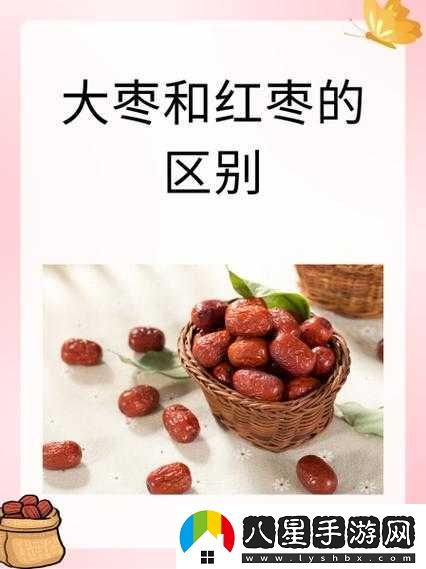 大棗與紅棗的區別究竟何在