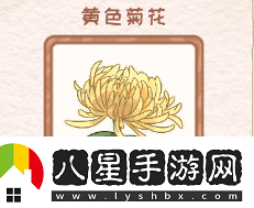 花店物語(yǔ)黃色菊花圖鑒資料