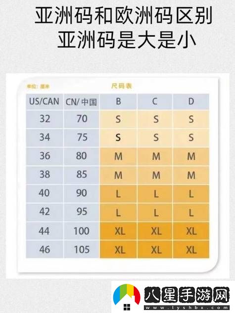 探秘亞洲尺碼和歐洲尺碼專(zhuān)線(xiàn)的差異與選擇