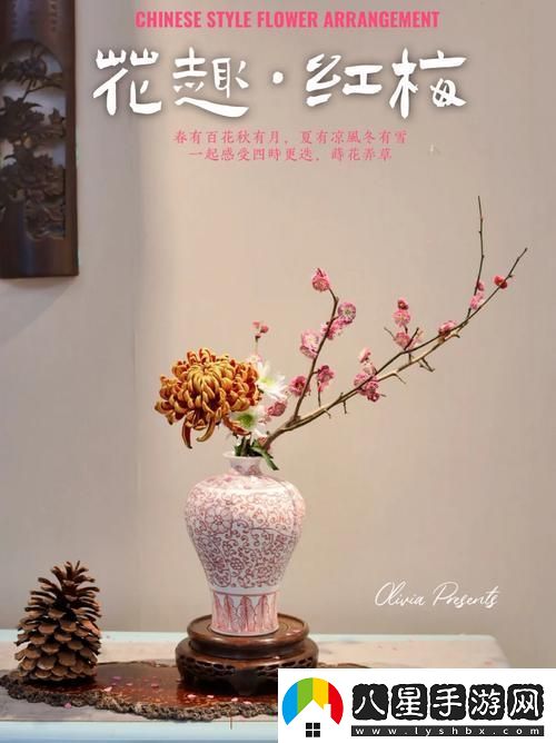 金花瓶楷梅花2觀(guān)看方法