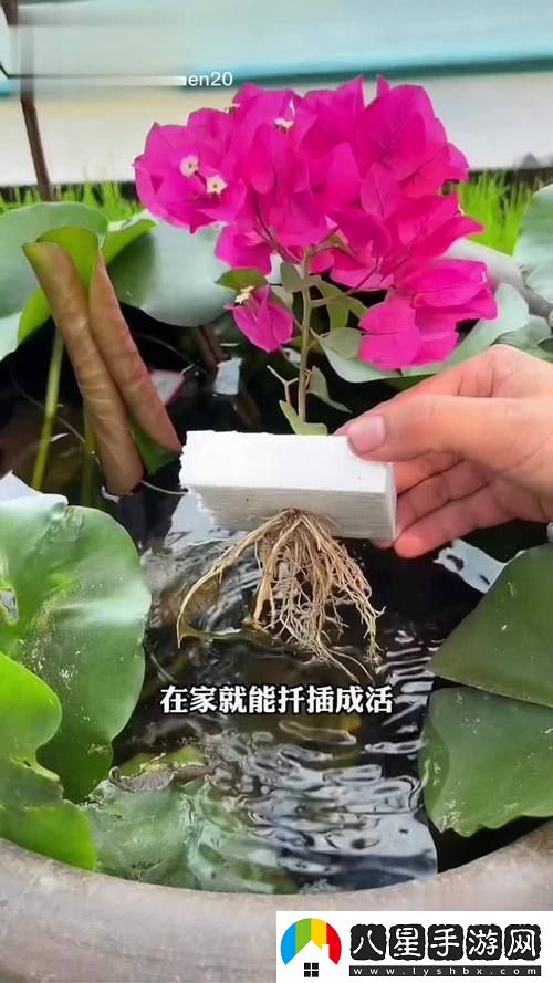 新探討坐著(zhù)扦插BB有什么好處的多重優(yōu)勢
