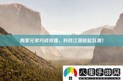 周家兄弟對戰雙雄