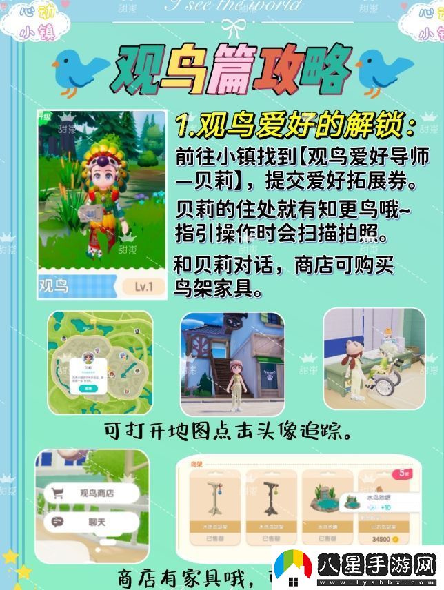 心動(dòng)小鎮觀(guān)鳥(niǎo)最全玩法介紹