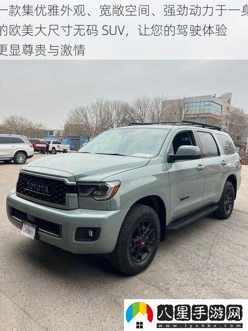 一款集優(yōu)雅外觀(guān)、寬敞空間、強勁動(dòng)力于一身的歐美大尺寸**