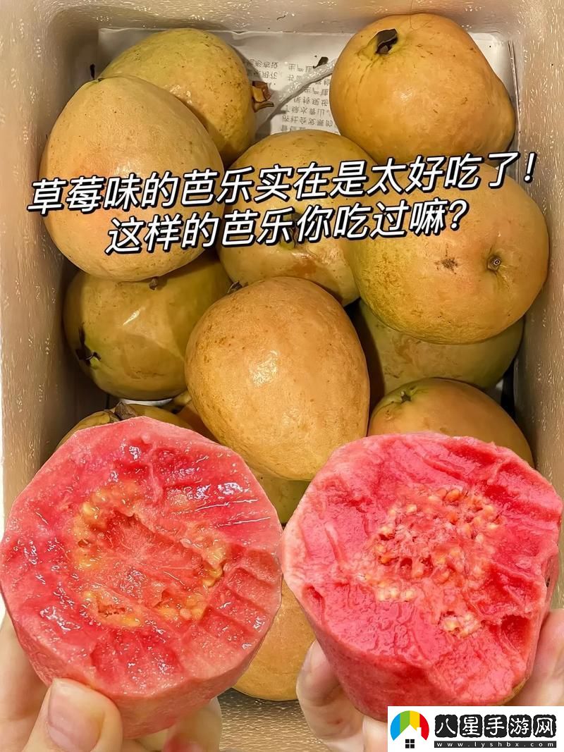 “草莓芭樂(lè )VS奶油芭樂(lè )