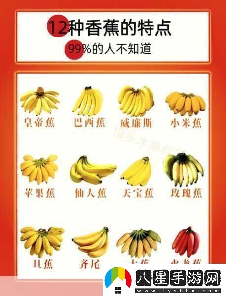 國產(chǎn)香蕉和進(jìn)口香蕉的價(jià)格比較
