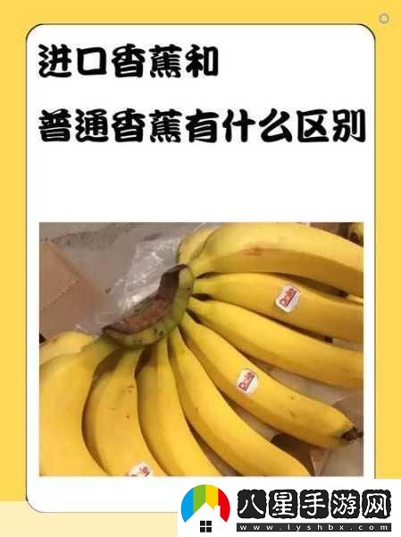 國產(chǎn)香蕉和進(jìn)口香蕉的價(jià)格比較