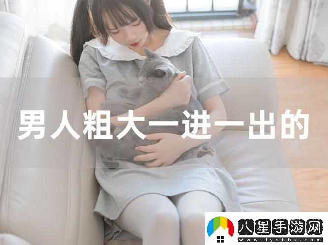 探秘“大肉大捧一進(jìn)一出視頻”的奇妙之旅