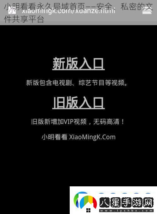 小明看看永久局域首頁(yè)——安全、私密的文件共享平臺