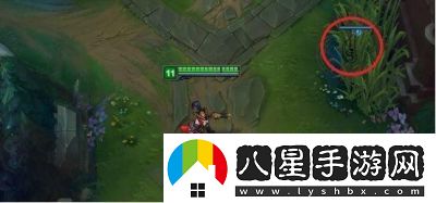 英雄聯(lián)盟中的真眼與假眼有何區別