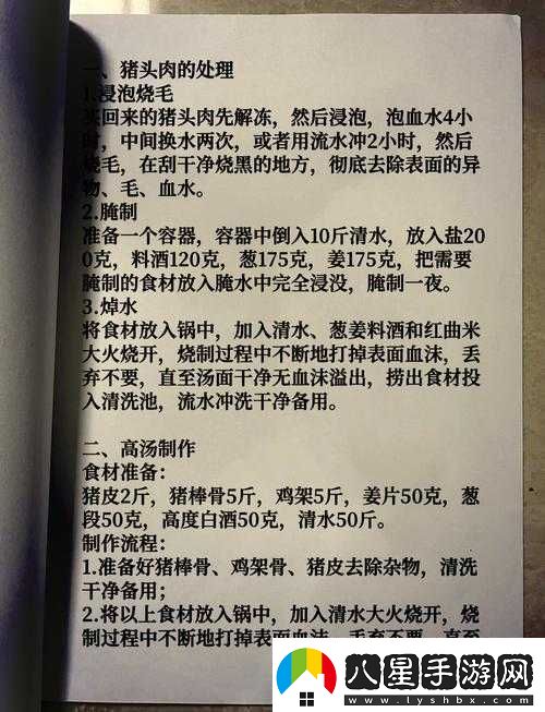 探索薩布茲燉肉獨特魅力及其傳統制作秘籍與技巧詳解