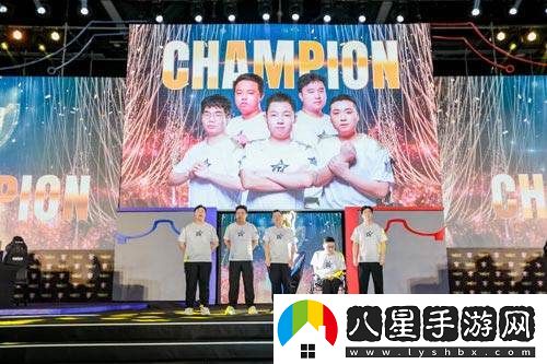 TOP戰隊實(shí)力再現，成功奪得2024英魂之刃精英聯(lián)賽總決賽冠軍榮譽(yù)