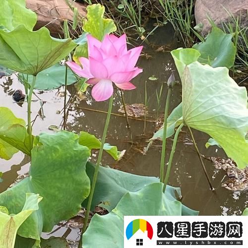 “女子半夜蓮花開(kāi)”怎么辦